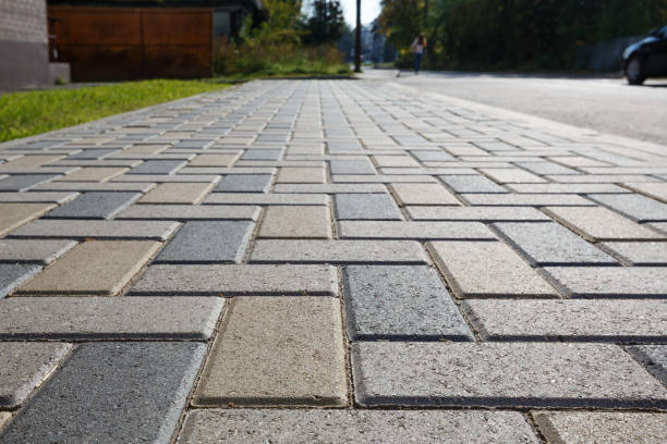 Best Affordable Driveway Pavers  in Douglas, MI